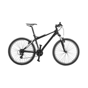 Yard Bicycle - Image 1